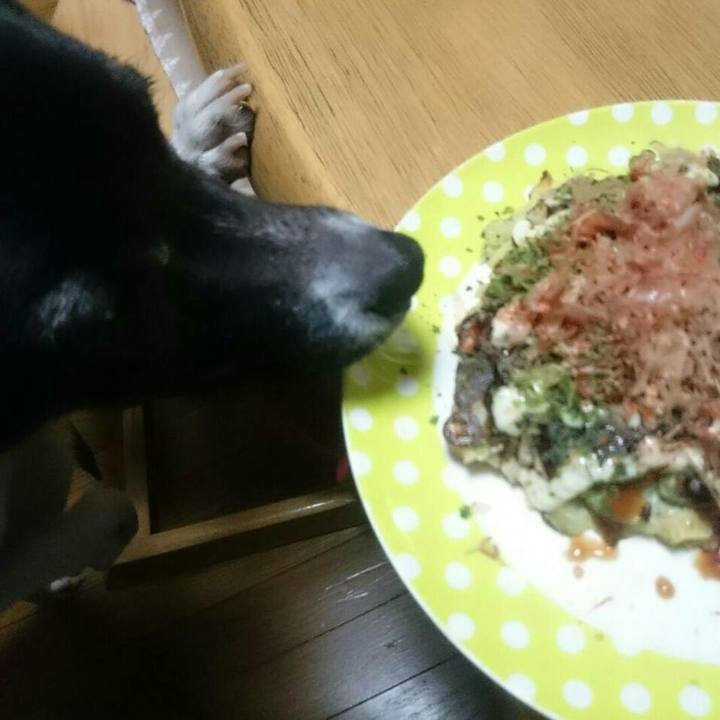 8c04749e a331 4359 a2ed b32ea21a1783