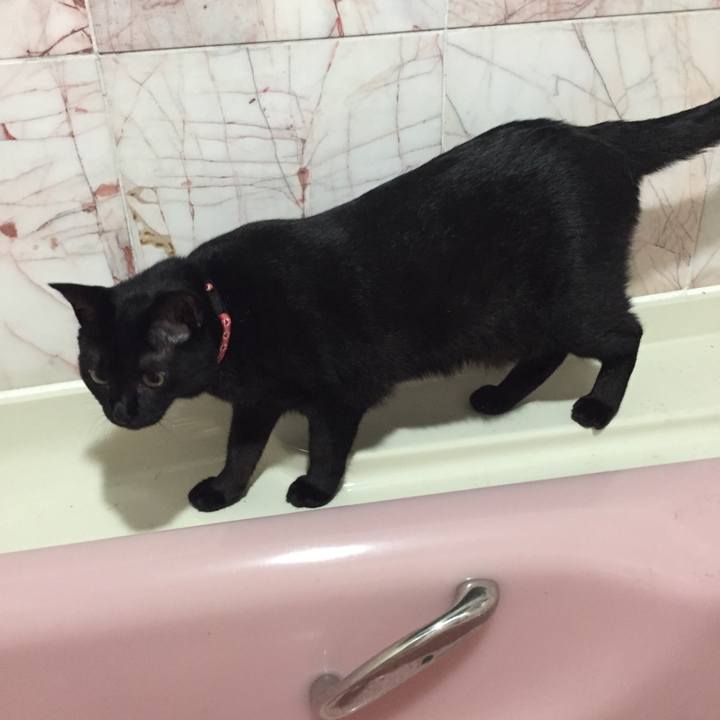 8c0508ee d438 4c08 aeab afe7d2b76875