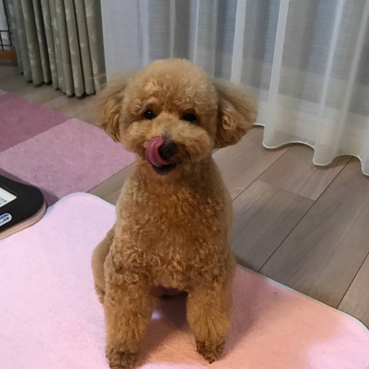 8c051cf8 5709 405d 872d 27e73ee92dce