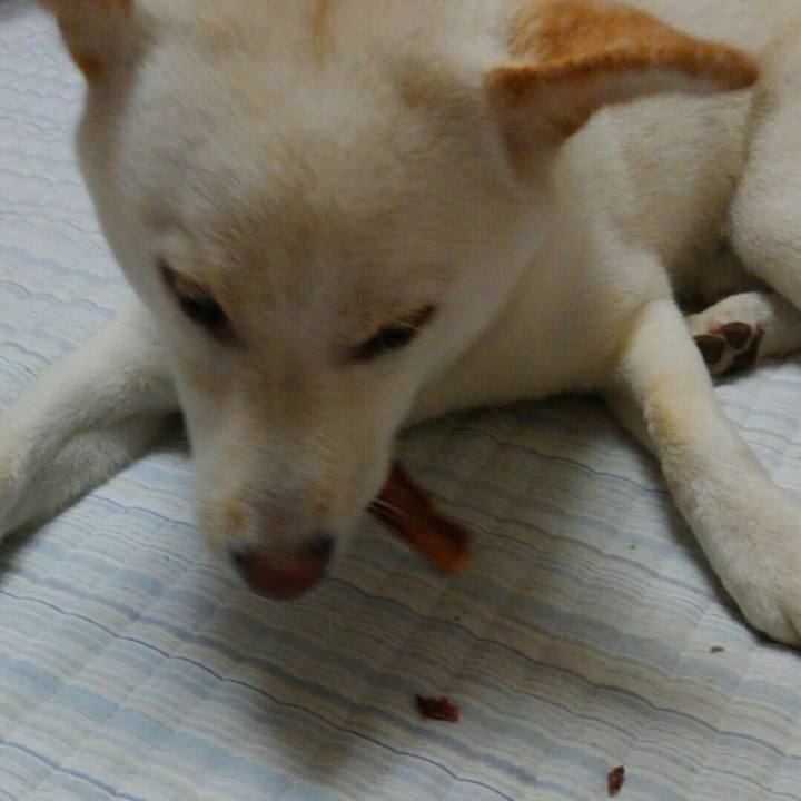 8c05404d a916 4541 997a 91bdbdaeab95