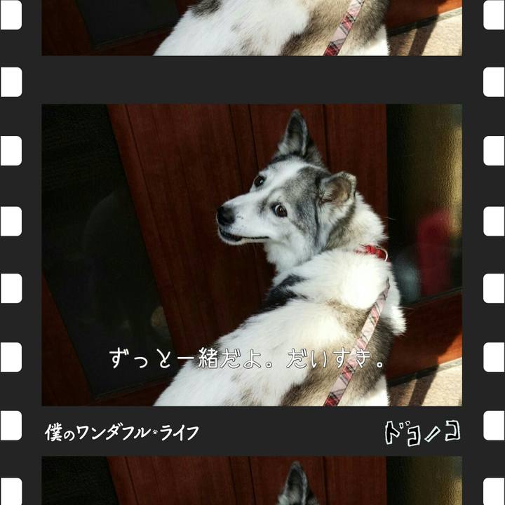 8c061ff6 3978 47aa 9382 444edfa3d185