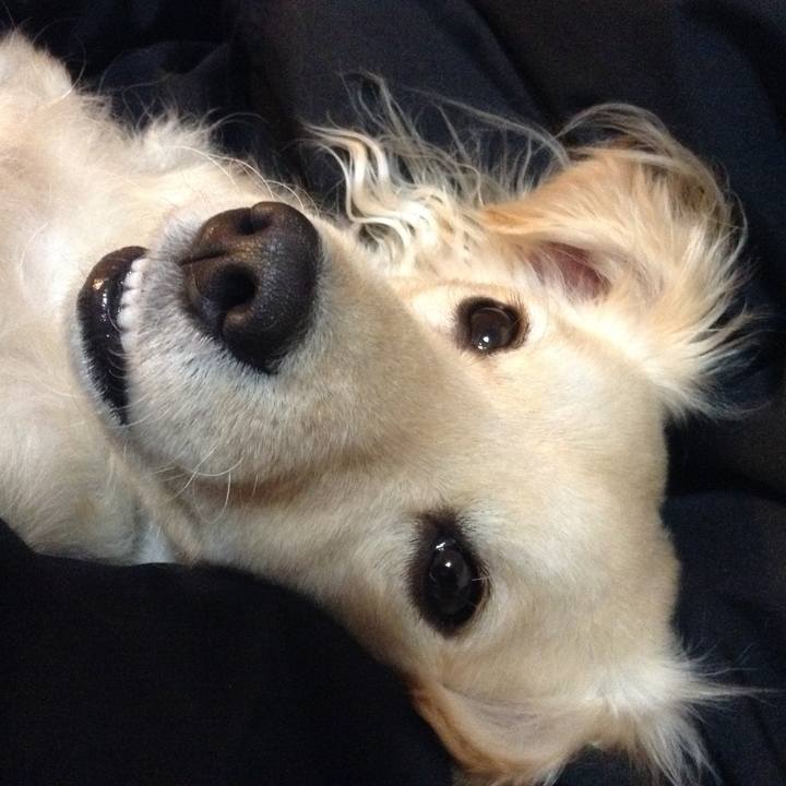 8c06c038 1033 4129 8a0a f4c8a04db4a1