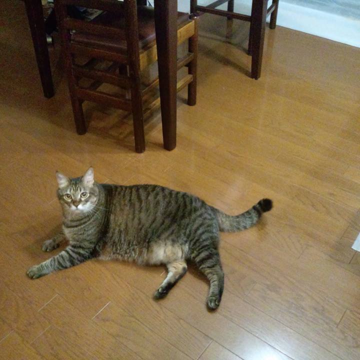 8c06e21e 82c0 4038 a8c0 e2f9155f211b