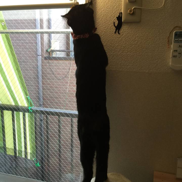 8c06eedc 973c 4d16 ba21 b8bdfd914e16