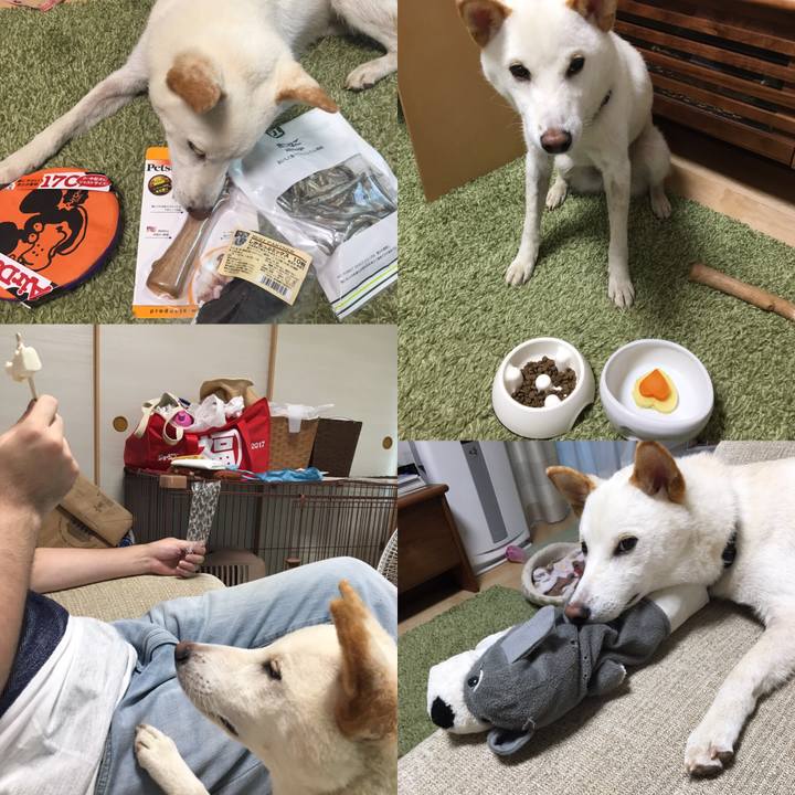 8c0763f6 f187 444f bb8e b51e400f1545