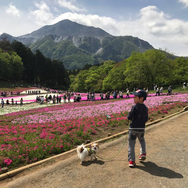 8c076b43 54a4 4d29 9cf6 11f26949f8b0