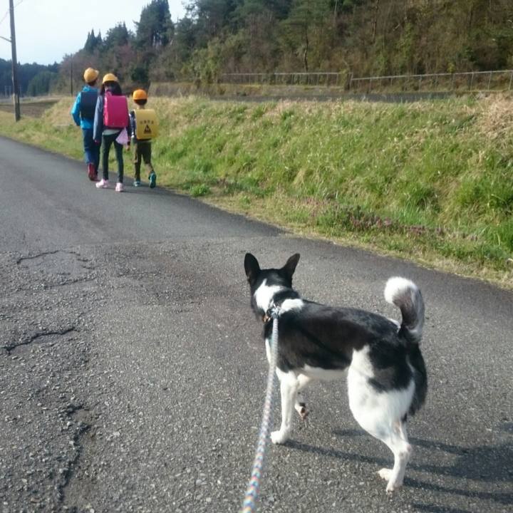 8c07798b e663 43a4 929a 737d8e3af041