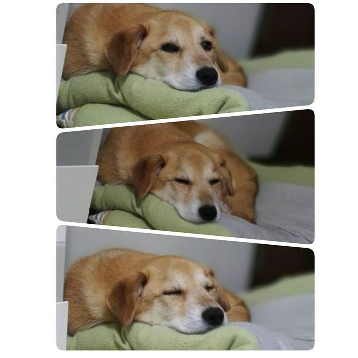 8c07bf17 4169 4c2f a018 7bebc484784e