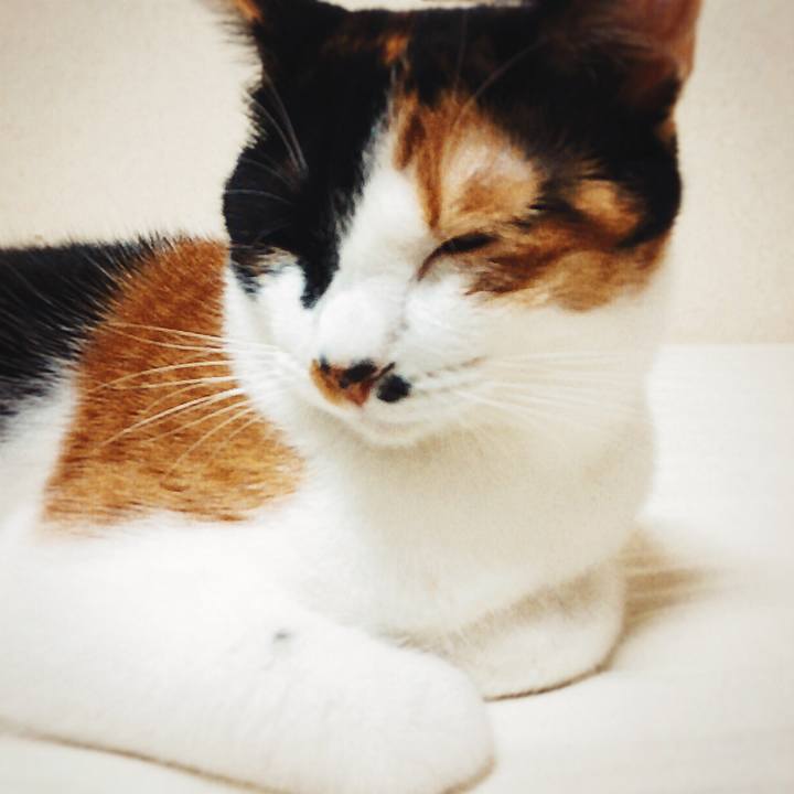 8c08976f 4d04 4288 b599 39d4fc787c50