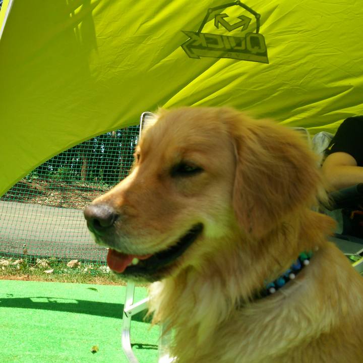 8c0913c7 2cac 4838 8b37 ad3ef0536e54