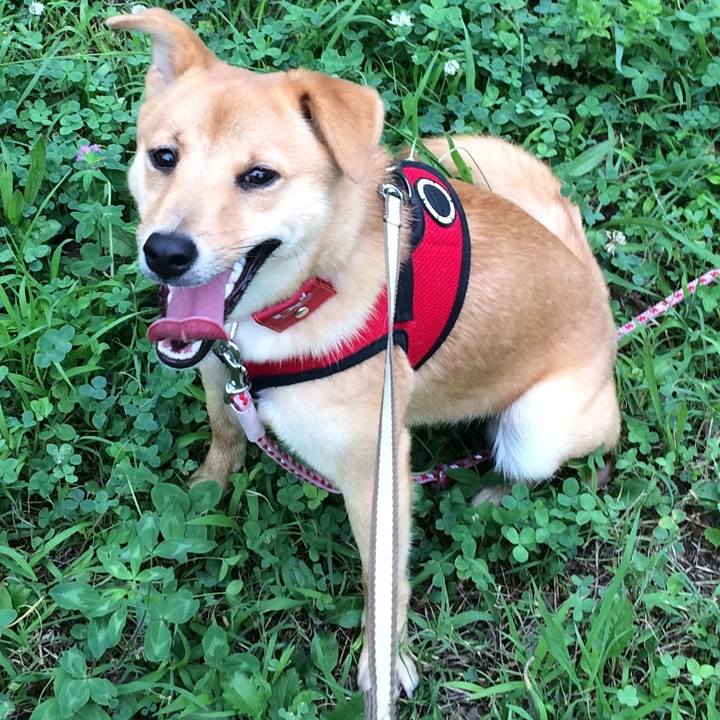 8c094b43 66bc 43d5 bd73 862995876ebf