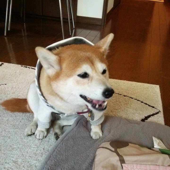 8c094fa7 d574 4cfc 907f f7e0b7b48762