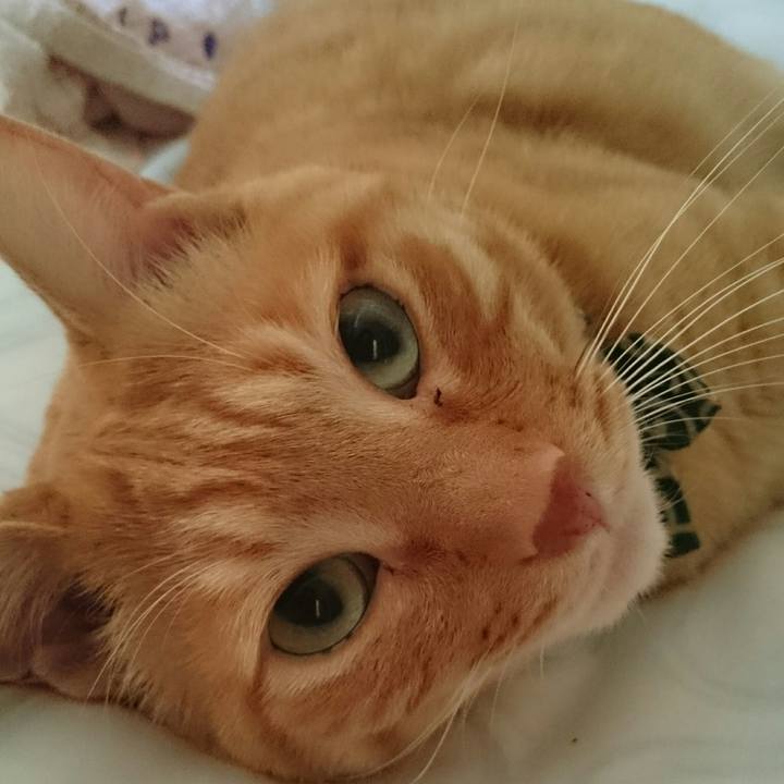 8c09840d dc6d 4e4b 957c 4cf983889680