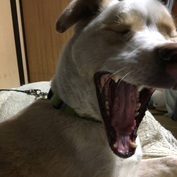 8c0a7925 142d 4315 b3a2 3cdcf987673f