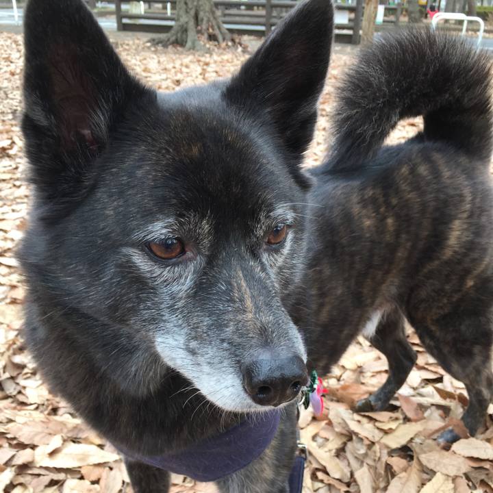 8c0b467f 0251 4cd7 8742 14960288c5ab