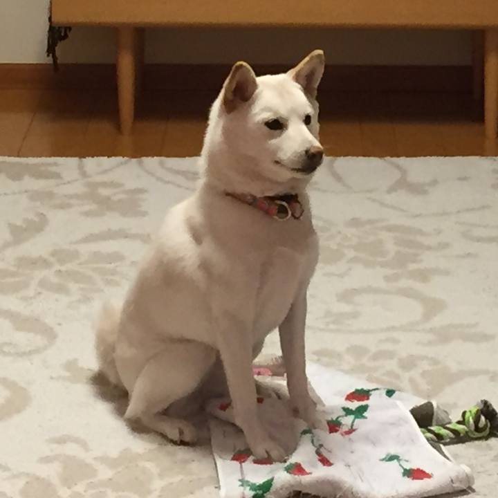 8c0c887c df15 471e 884d 09d0402c72e1