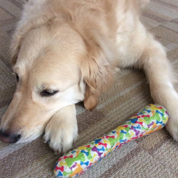 8c0d4043 26f0 4ecb bb6e fb12495ba2da