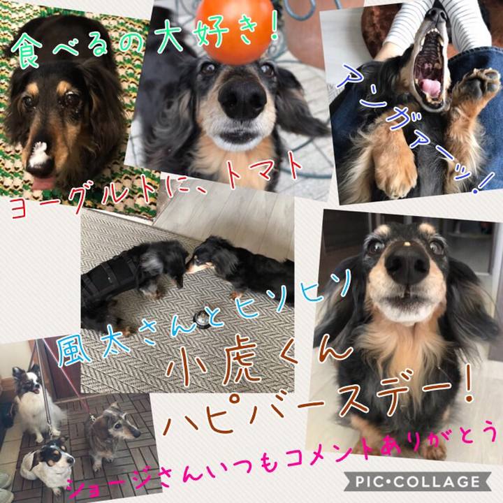 8c0d4e6d 562e 45cf a3f4 2add87884c05