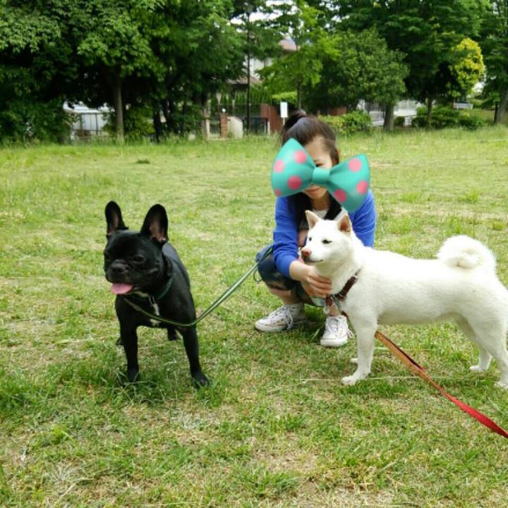 8c0d517b e62b 43eb 9df6 c26fb916032e