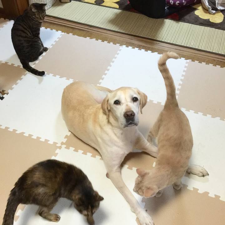 8c0d8abe df32 4d13 a14c 3684b1d34fce