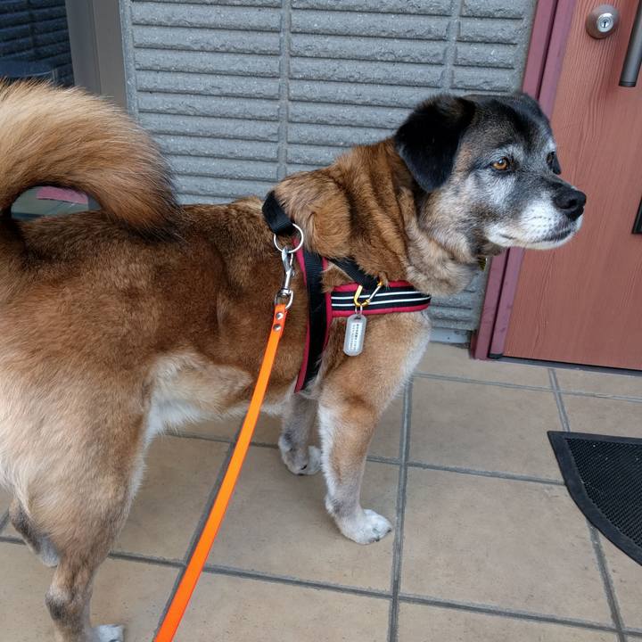 8c0dbe31 6ae3 4d7c 9488 2fc412295a7d