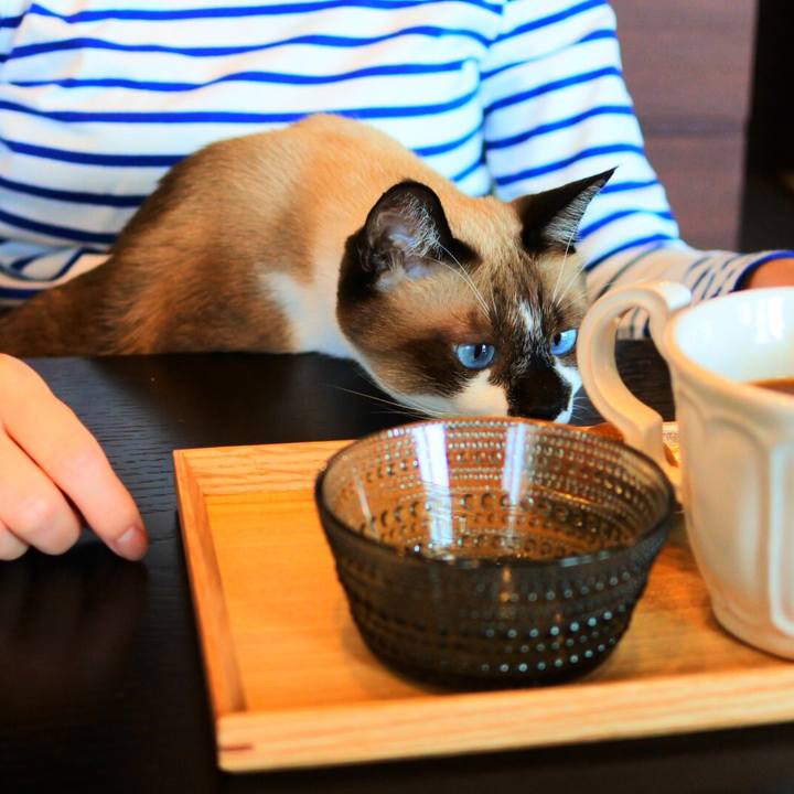 8c0e33ec 9a76 4fc1 b0f4 3b33e04584c1