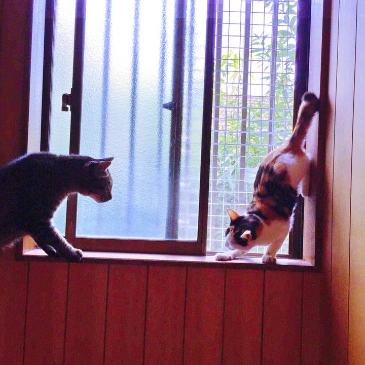 8c0e46ab 289d 4463 b827 a2a2df501b3d