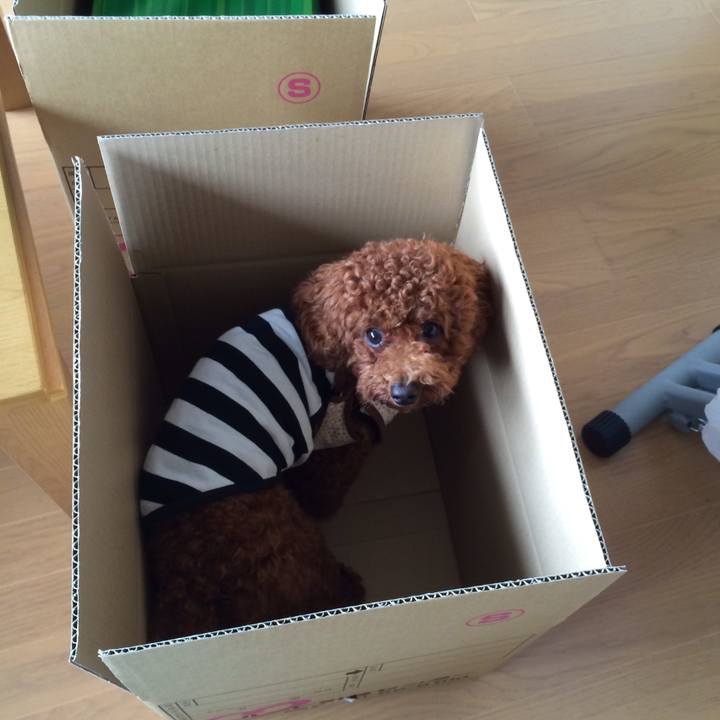 8c0e6154 c66c 4f47 a565 9c3c5e8fc729