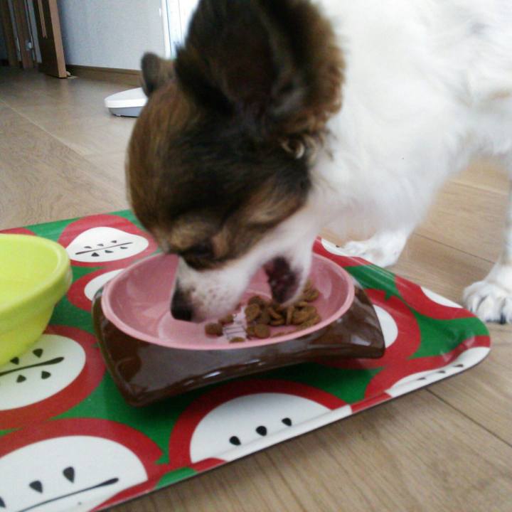 8c0f6323 364b 4238 8889 0965dd634122