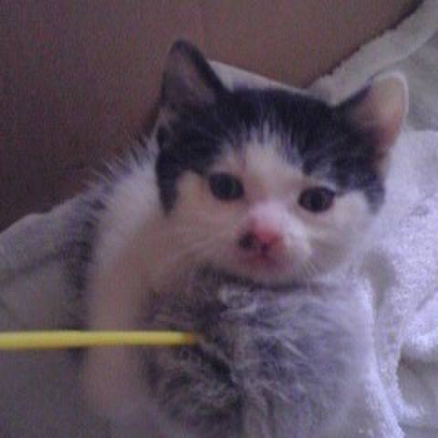 8c0fc3a0 fd60 42ec 8224 4278a02b3d03