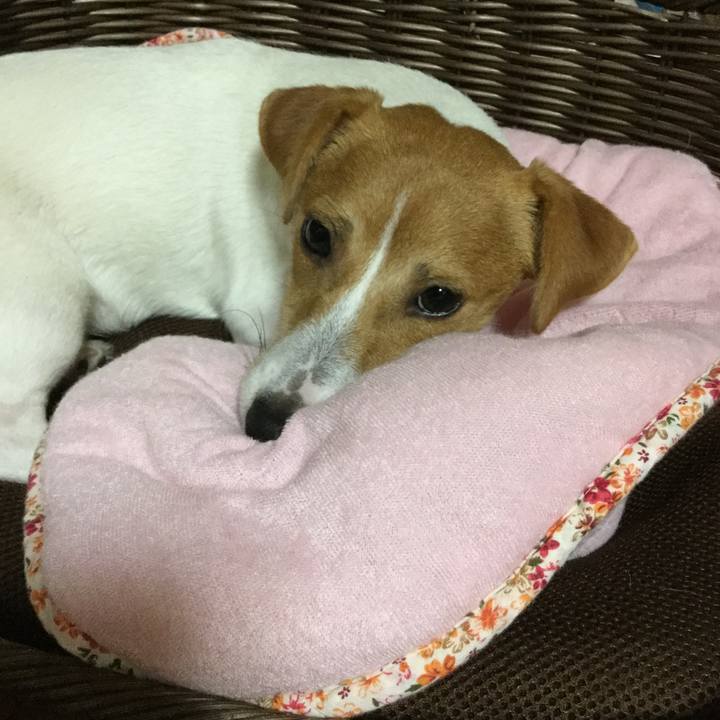 8c10107b 1aed 4c92 9f05 37f8f68b8953