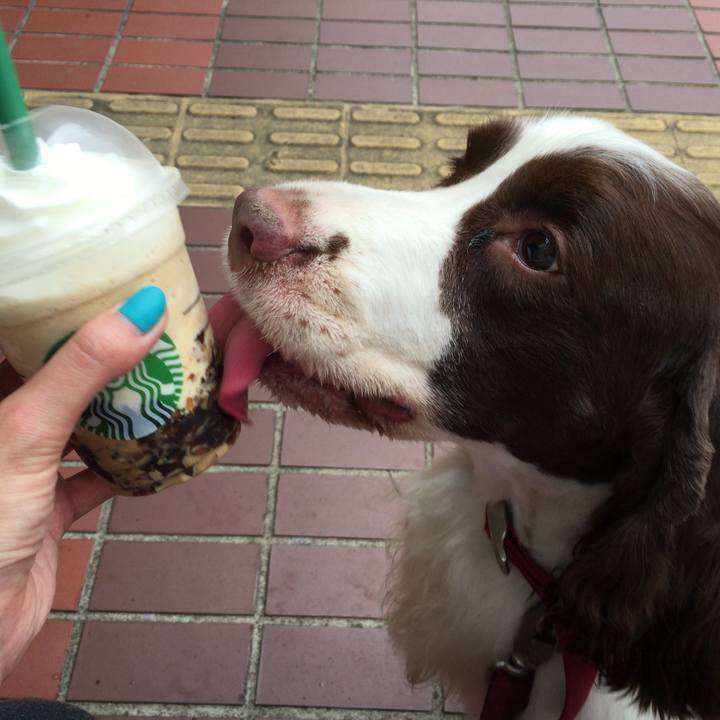 8c11cdf1 f1f6 47ca b481 eaa326034588