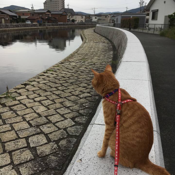 8c1207a0 be3d 45e6 9c8a 3820648363b0