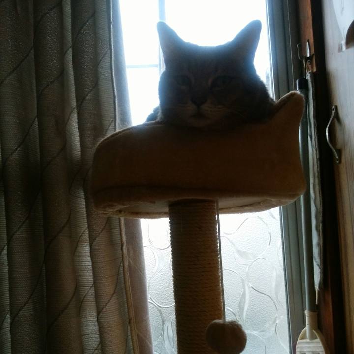 8c127395 351d 45eb a336 4e12f931dd3f