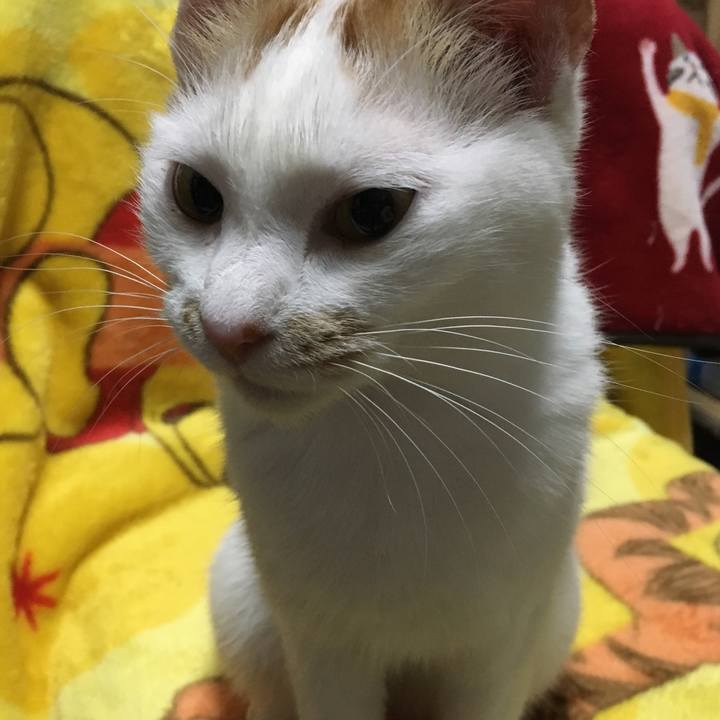 8c12a5b9 e84b 4436 8ec8 ce906f6d29fe