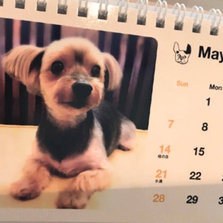 8c1367e3 2ade 43e5 96ac f046a2d69b8a