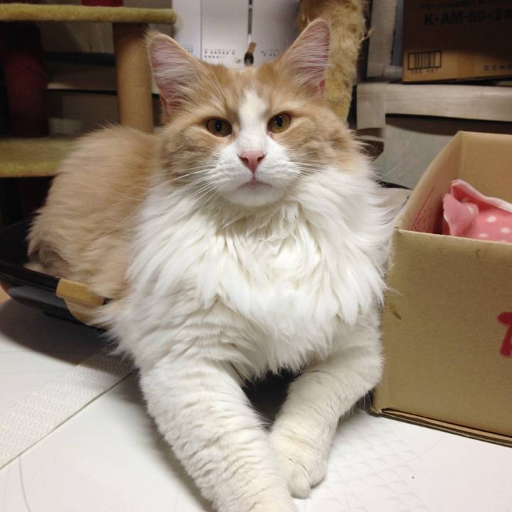 8c153f69 2b65 499f 9454 82d0a08c9d75