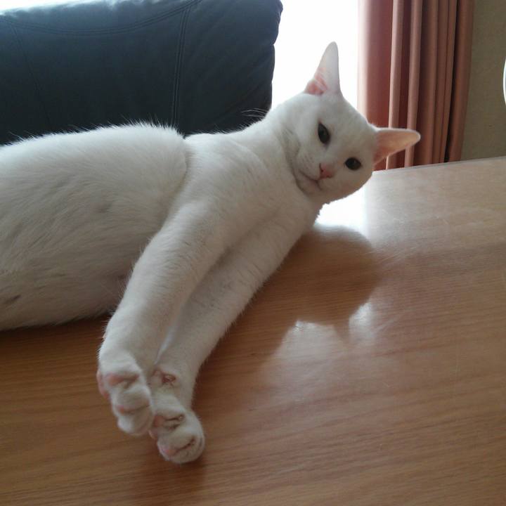 8c15de3f 1ff2 4568 8d14 8474217f4d6b