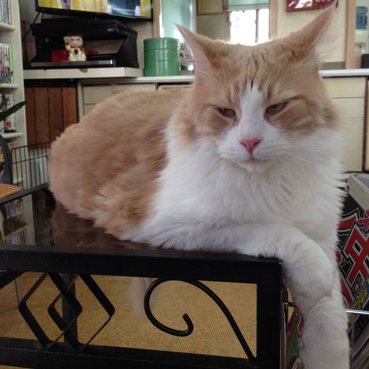 8c169245 713b 4239 b85d 0252023af42f