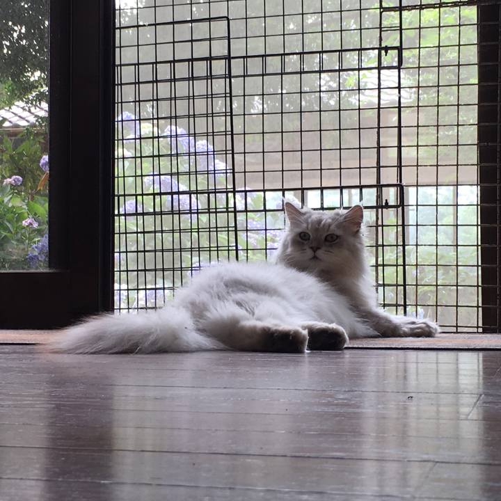 8c169979 7436 425e 9217 a8145979239f