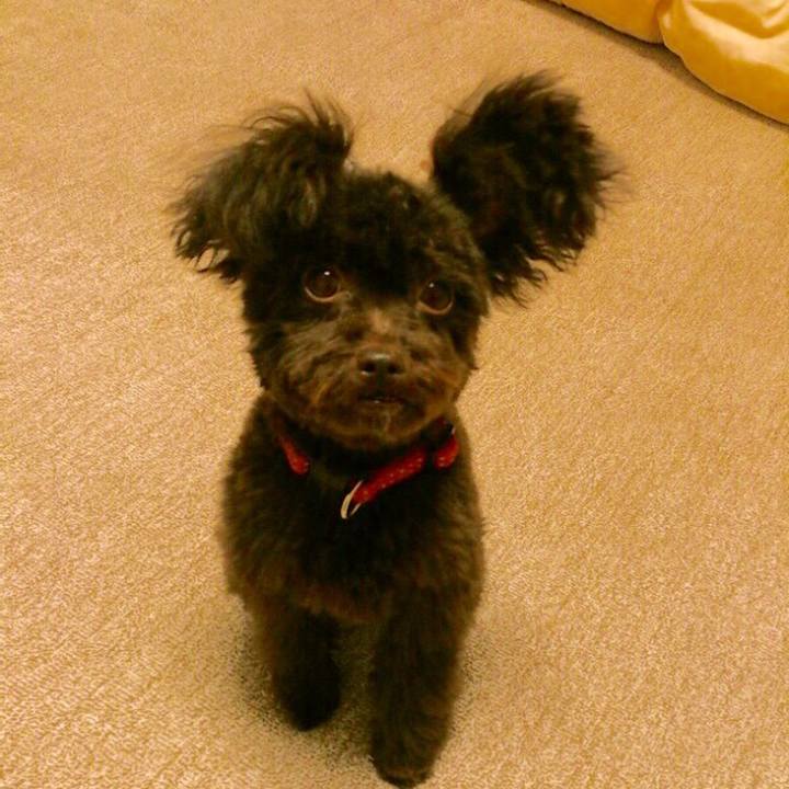 8c170d94 9a1f 427b 8a4b 7da054865c13