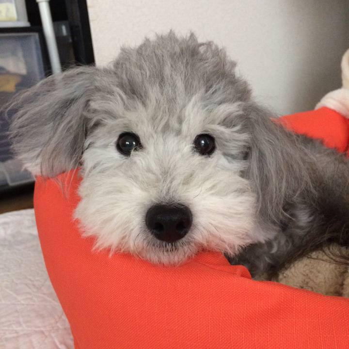 8c17400a 20ba 4293 849c 0189a19b67c6