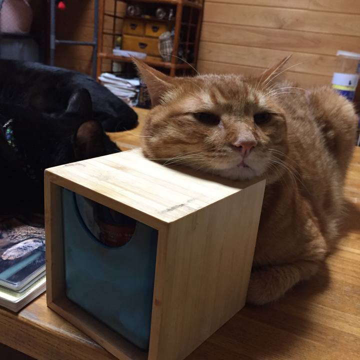 8c18ef8b 7a68 4688 9f04 db29ccbfff6d