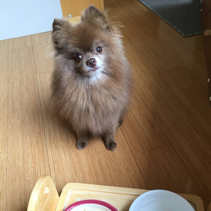 8c18f072 f4bb 4200 ae80 b9eef59ff86e