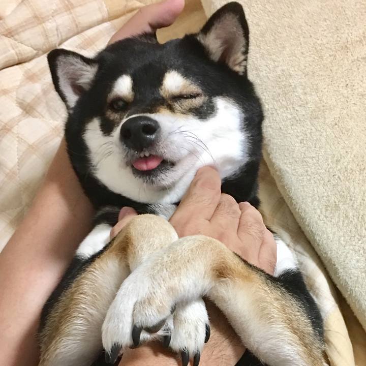 8c198ef0 ffe4 4ffc 90ce e450e562db27