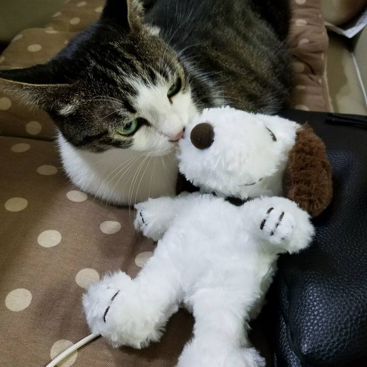 8c19ff5b 102a 493a b6e4 10069254558d