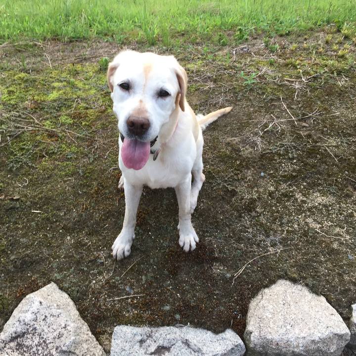 8c1a2ccc 17e4 474d 9f60 54adb7017768