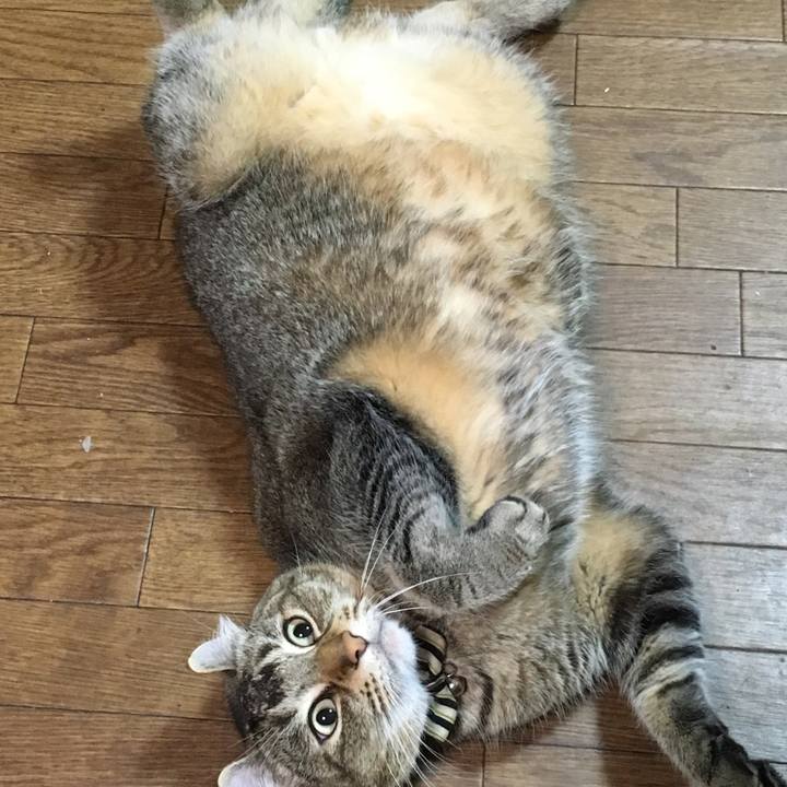 8c1a5c96 a97f 4275 9729 c6ad1b5ce017