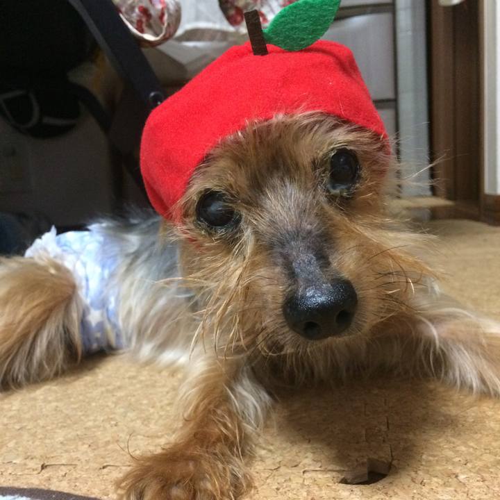 8c1a6d70 a0a5 4ab9 89cb 2ca84b468c67