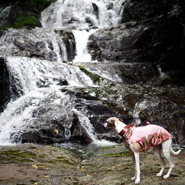 8c1a8548 fd17 48c9 b2de 0134259dca4b